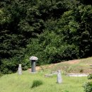 (주)어머니김 이미지