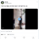 가로수길 애플스토어에서 에어팟 사면 벌어지는 일.jpg 이미지