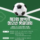 평택시청소년문화센터 청소년체육관 이미지