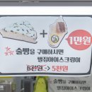 속초술빵 네이버블로그