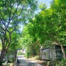 무등요양병원 이미지