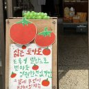 연두 이미지