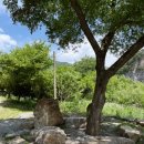 대촌회관 이미지