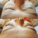 도도beauty
