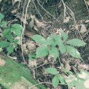 운산농장 이미지