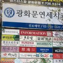 광화문 | 비엘리플라워, 연말 크리스마스 꽃으로 진심 너-무 추천(디자인)