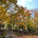 정의상실옷수선