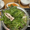 담칼국수 이미지