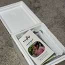 알랑 | 선물 추천 공룡나라의 맛을 담은 고성로컬디저트, 글루텐프리 수제 디저트 '알랑시에' 후기