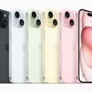 15 이미지