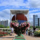 장미원입구 이미지