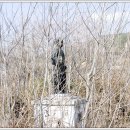 안태초등학교 이미지