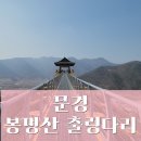 내일은 내일에게 | 문경의 새로운 핫플! 봉명산 출렁다리 아찔한 등반 후기