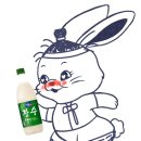 반디투어 - 달서구 공원순환로 46 | 반디투어