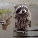 제주동쪽 이미지