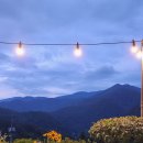 들꽃피는 아침풍경 이미지