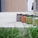 아이비(I.B.) 이미지