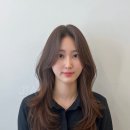 헤어 봄 이미지