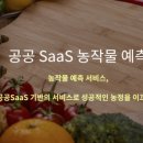 지디에스컨설팅