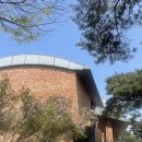 건강과행복이열리는약국 | 임팩타밈 비타민B 영양제 사러 교대역 약국에 들렀어요.