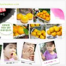 현기농장 이미지