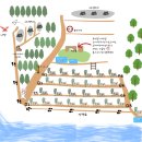 비토 노을숲 글램핑 이미지