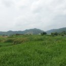 남산(279m) 모산(174m) 도리봉(144m)/ 충남 논산 양촌면 이미지