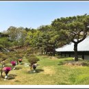 택수목장 네이버블로그