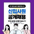 오엑스솔라