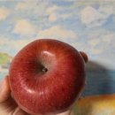 쭈니푸드 이미지