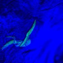 좌천동굴 이미지