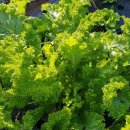 이루농장 이미지