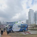 온천천로 | 부산 벚꽃 명소 [온천천 벚꽃축제] 후기