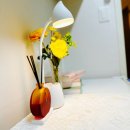 송정공원지하철역 1번출구 | 교대역 1번 출구 3분!~ 전 객실 &#34;올 원룸&#34; 클린 원룸텔 교대점. 방문후기