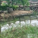 순례자의 노래(Pilgrim’s Song) 이미지