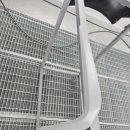 1급미르모터스 이미지