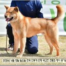 달아실 농원 이미지