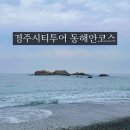 경주시티투어 천마관광 동해안투어 후기, 아이랑 뚜벅이여행 추천