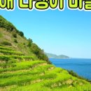 대나무집민박 이미지