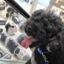 아이러브펫동물병원 은평점 이미지