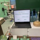 미용해주개 이미지