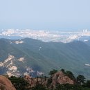 기쁨고속관광 이미지