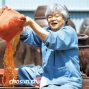 아름다운 반복 조선일보