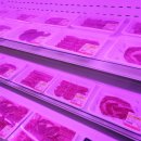 한우직판장 이미지