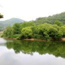 충청도양반길(2코스) | 괴산 충청도양반길 2코스 (2023.6.7)