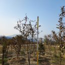 목천농장 이미지