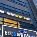 베를린 동물치과센터 이미지