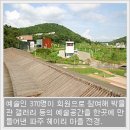 헤이리아트밸리 네이버블로그