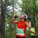 금수목장 이미지