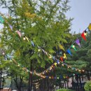 마들근린공원 이미지